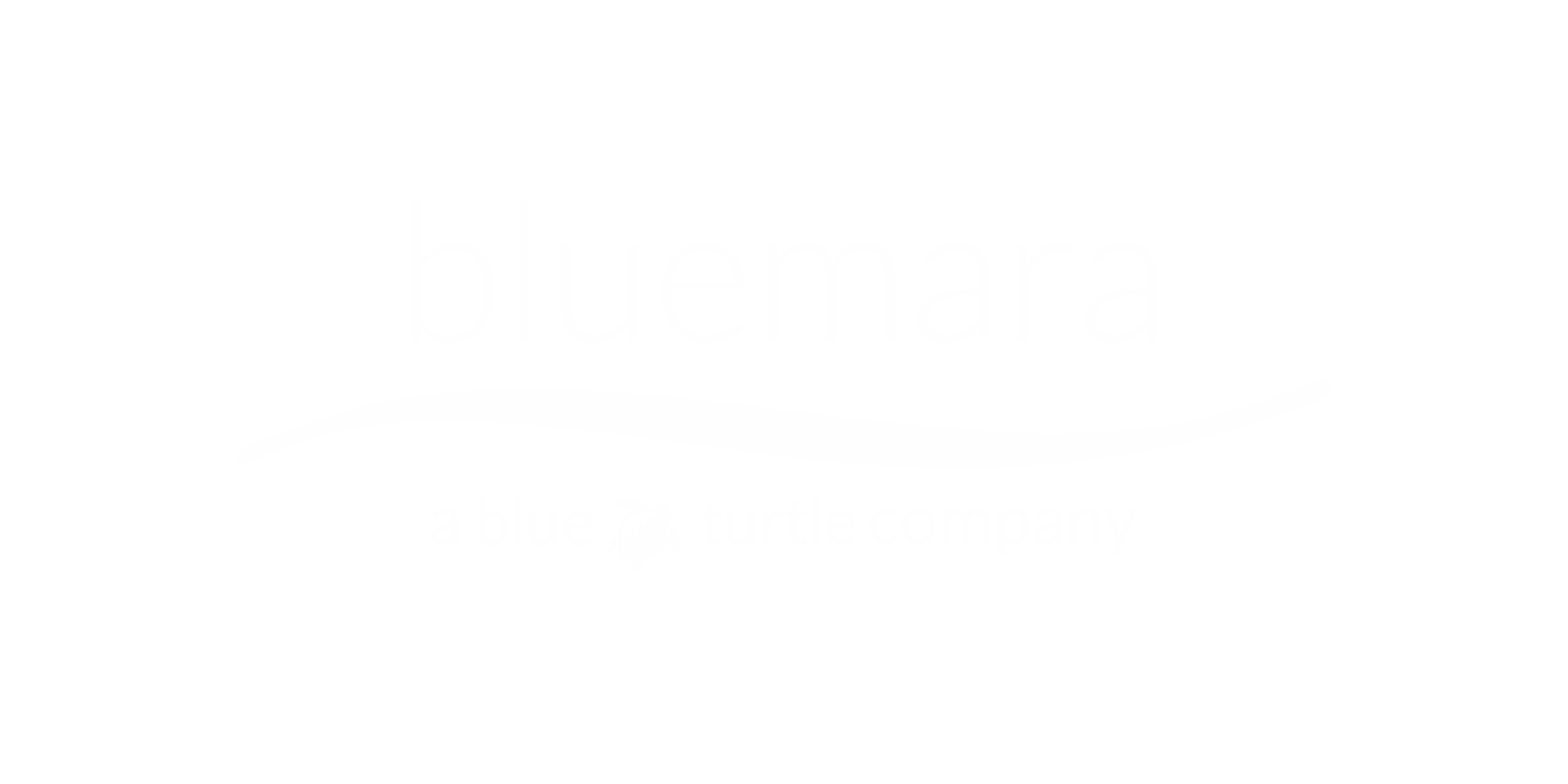 Bluemara a Blue Turtle Company, Servicios Tecnológicos para empresas